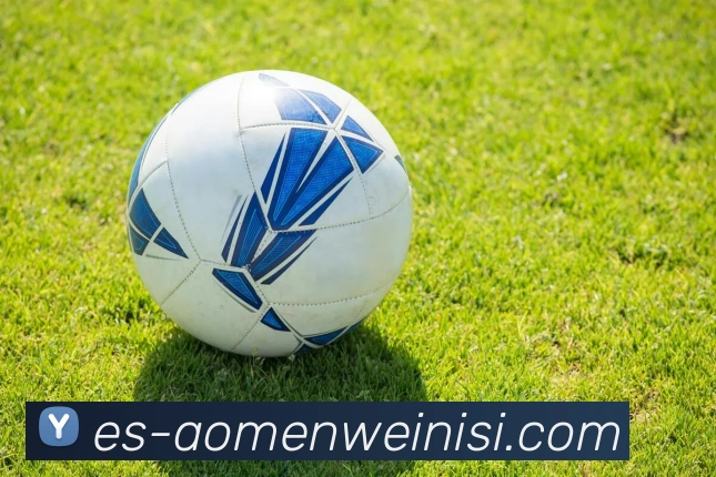 App Interface Preview