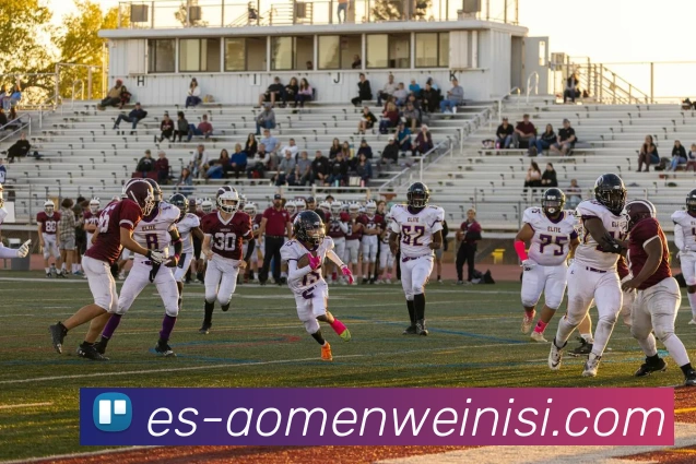 威尼斯人官网APP 封面图